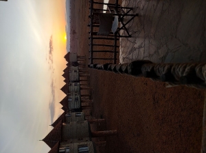 Salt Lick Safari Lodge_1