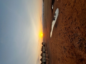 Salt Lick Safari Lodge_3