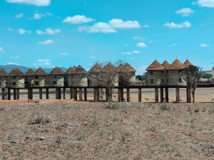 Salt Lick Safari Lodge_8