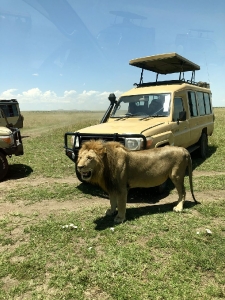 On Safari With Alibaba Tours and Safari_2