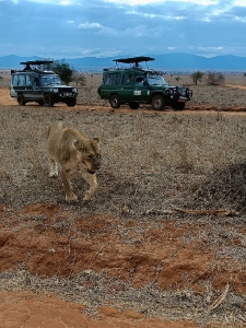 On Safari With Alibaba Tours and Safari_3