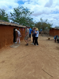 On Safari with Alibaba Tours and Safaris