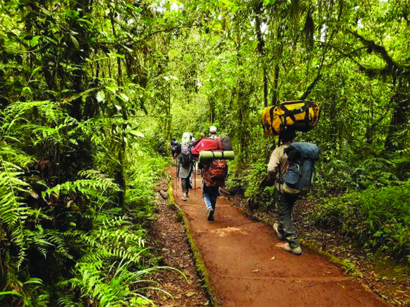 Mount kilimanjaro climbing