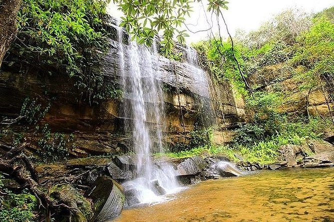 Shimba Hills Day Trip